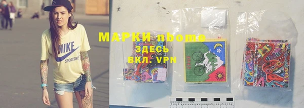 тгк Володарск
