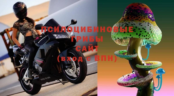 ГАЛЛЮЦИНОГЕННЫЕ ГРИБЫ Конаково