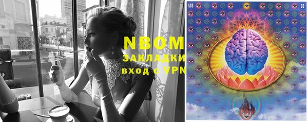 тгк Володарск