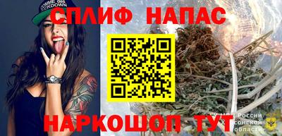 стафф Гагарин