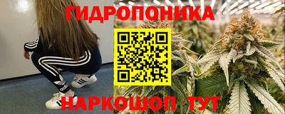 2c-b Гай