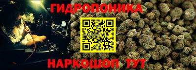 стафф Гагарин