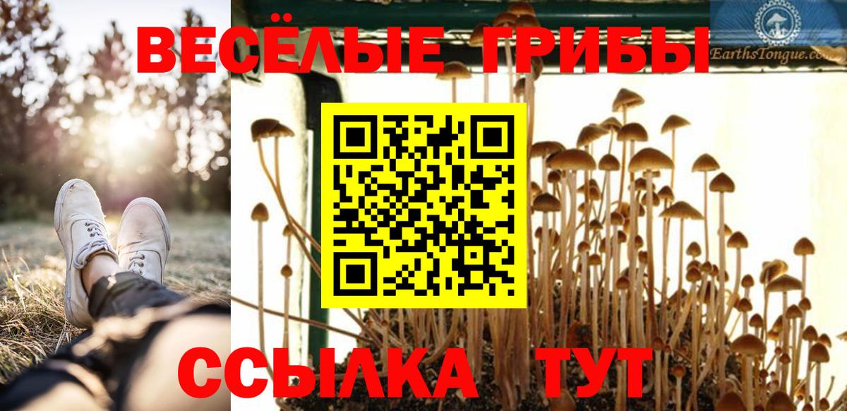 Галлюциногенные грибы GOLDEN TEACHER  Вход с VPN  Мариинск 